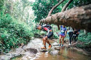 BIB: 
                            <button type="button" onclick="openModal(25374897)" class="btn btn-primary btn-sm float-right btn-popup" data-toggle="modal" data-target=".modal-high-quality">
                        <i class="fas fa-shopping-cart"></i> Add to Cart
                    </button>
                                            <button type="button" onclick="isThisMe(25374897, true)" class="btn btn-success btn-sm float-right btn-popup btn-isme hidden" data-toggle="tooltip" data-placement="bottom" title="นี่คือรูปของคุณใช่ไหม คลิกที่นี่เพื่อเอาเข้าอัลบั้ม">
                        <i class="fas fa-plus"></i> Add to album
                    </button>
                    <button type="button" onclick="isThisMe(25374897, false)" class="btn btn-warning btn-sm float-right btn-popup btn-isnotme hidden">
                        <i class="fas fa-ban"></i> Remove from album
                    </button>